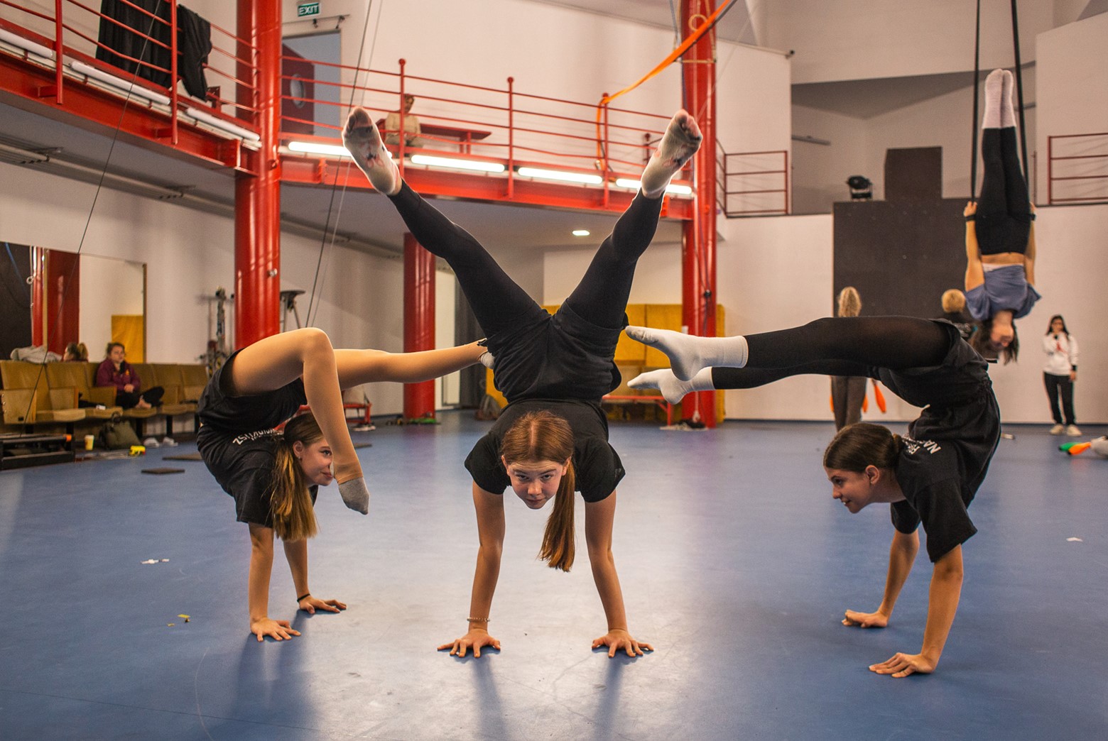 At the circus, if you fall, we will catch you If you fall, we will catch you