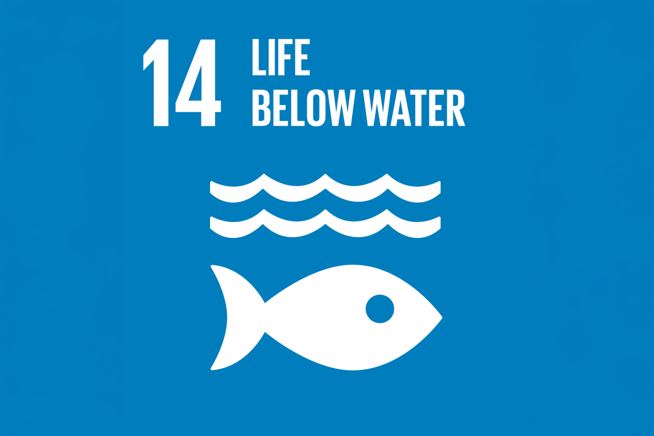 icon with fish swimming below waves