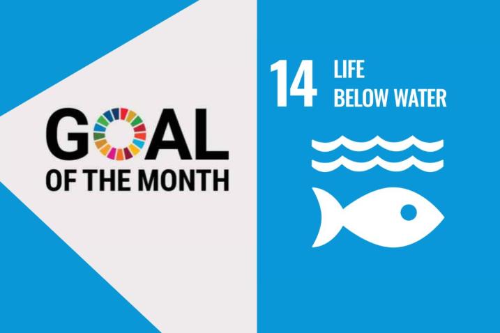 Goal of the month 14 Life Below Water