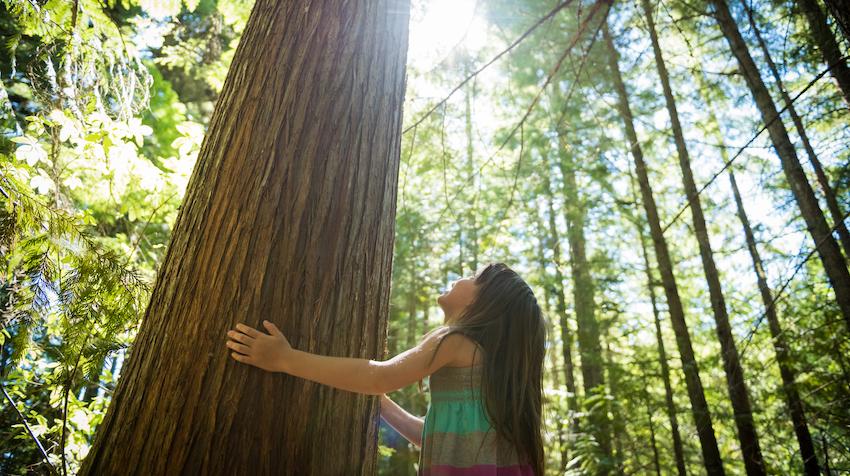 young girl in forest
